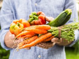 El futuro de los consejos de nutrición – WDJT