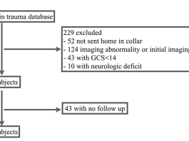 Outcomes of Patients With Negative Cervical Imaging but Persistent Neck Tenderness Discharged With a Rigid Collar After Trauma Figure-subject-identification
