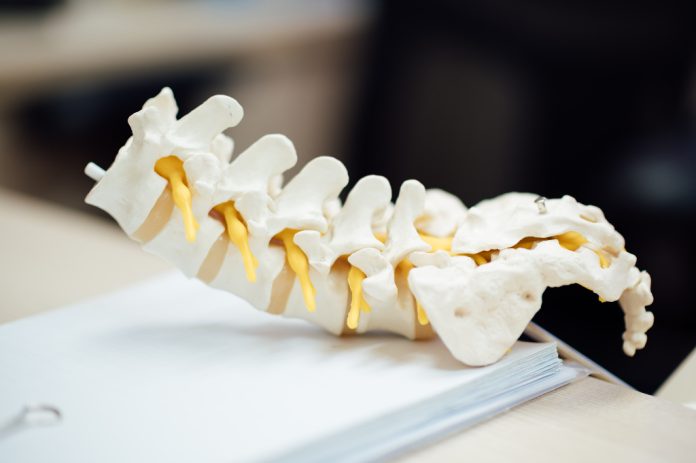 Cuide su columna vertebral
