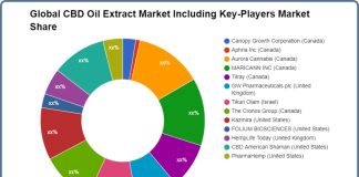 Mercado mundial de extracto de aceite de CBD