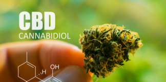 Best CBD Oil To Buy On The Market 2022