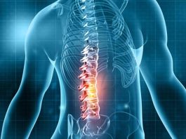 Top Tips to Ease Back Pain