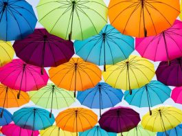 8 Different Types Of Insurance Policies And Coverage You Need – Forbes Advisor 8 Different Types Of Insurance Policies And Coverage You Need