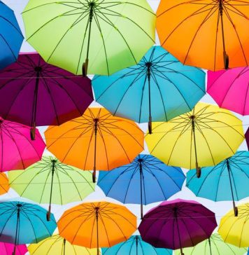 8 Different Types Of Insurance Policies And Coverage You Need