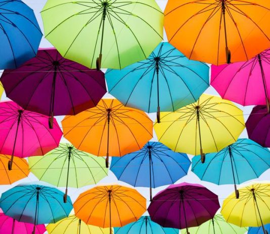 8 Different Types Of Insurance Policies And Coverage You Need – Forbes Advisor 8 Different Types Of Insurance Policies And Coverage You Need