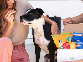 Best CBD Dog Products 2022