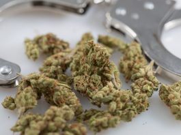 La Asociación Médica Estadounidense aprueba la resolución de expurgaciones de marihuana y aborda la 'medicalización excesiva' del cannabis
