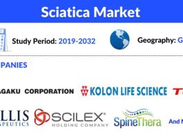 Sciatica Market