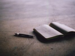 Después de dos pérdidas de embarazo, escribí el libro que necesitaba leer ‹ Literary Hub
