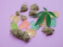 Buy Delta-9 Gummies Online: 3 Best THC Edibles You Should Try [2022]