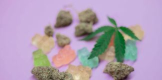 Buy Delta-9 Gummies Online: 3 Best THC Edibles You Should Try [2022]