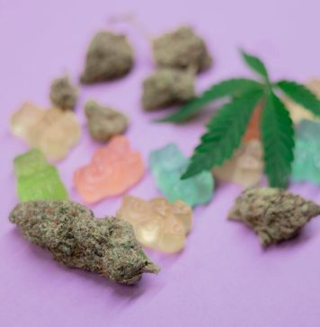 Buy Delta-9 Gummies Online: 3 Best THC Edibles You Should Try [2022]