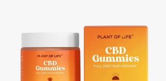 Comestibles de CBD: ¡Todo lo que necesita saber!
