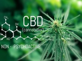 Primer ensayo mundial en Australia y Nueva Zelanda de gel transdérmico de cannabidiol para el tipo de epilepsia difícil de tratar más común en adultos Primer ensayo mundial en Australia y Nueva Zelanda de gel transdérmico de cannabidiol para el tipo de epilepsia difícil de tratar más común en adultos
