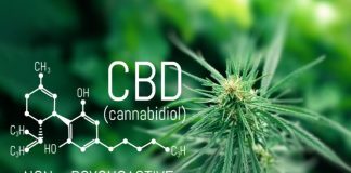 Primer ensayo mundial en Australia y Nueva Zelanda de gel transdérmico de cannabidiol para el tipo de epilepsia difícil de tratar más común en adultos
