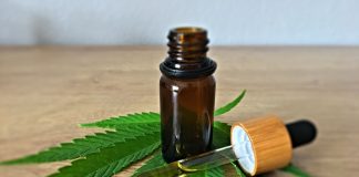 ¿Qué es el aceite de CBD y debería usarlo?
