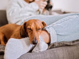 Ciudades donde menos personas hacen ejercicio: 24/7 Wall St. Ciudades donde menos personas hacen ejercicio: 24/7 Wall St.