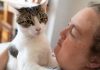 Gato salva milagrosamente a su dueña que muere de un infarto

