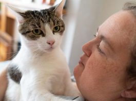 Gato salva milagrosamente a su dueña que muere de un infarto
