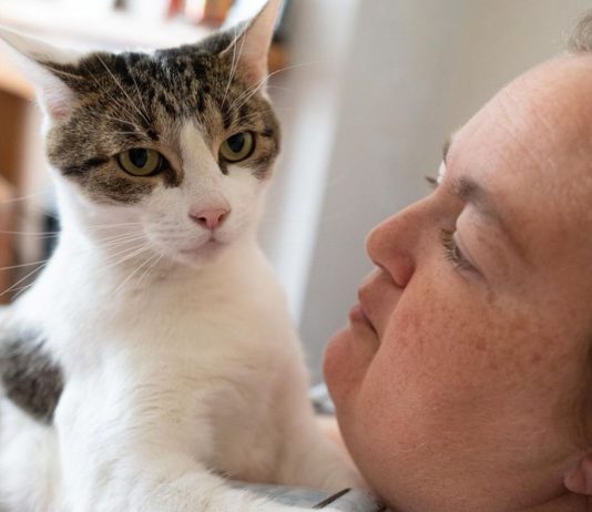 Gato salva milagrosamente a su dueña que muere de un infarto
