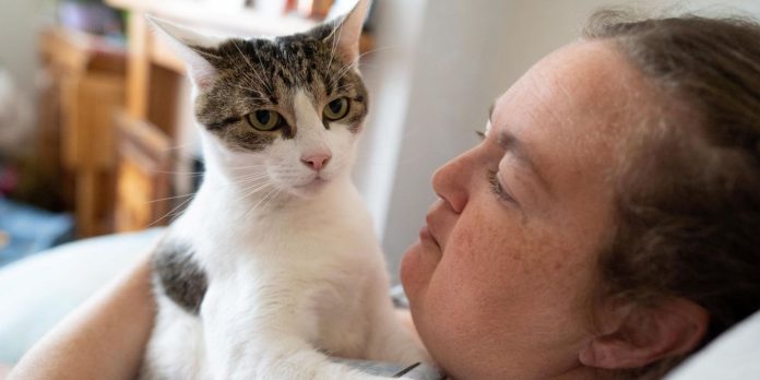 Gato salva milagrosamente a su dueña que muere de un infarto
