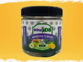 Revisión de Blitz D8 CBD Gummies: ¿estafa o gomitas Delta-8 puras legítimas?
