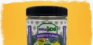 Revisión de Blitz D8 CBD Gummies: ¿estafa o gomitas Delta-8 puras legítimas?
