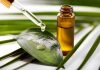 Study: The Biological Activity of Tea Tree Oil and Hemp Seed Oil. Image Credit: ronstik / Shutterstock.com