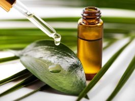 Study: The Biological Activity of Tea Tree Oil and Hemp Seed Oil. Image Credit: ronstik / Shutterstock.com