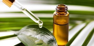 Study: The Biological Activity of Tea Tree Oil and Hemp Seed Oil. Image Credit: ronstik / Shutterstock.com