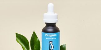 Penguin CBD oil