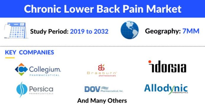 Chronic Lower Back Pain Market