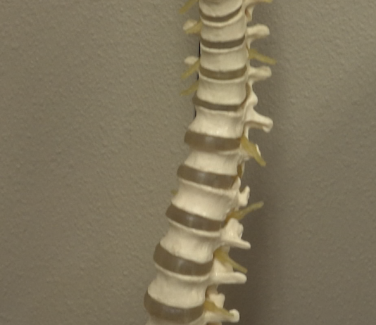 Visitar a un quiropráctico puede ser beneficioso para usted
