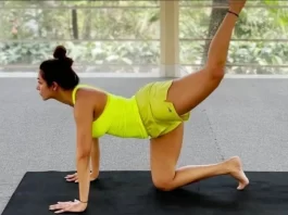 Malaika Arora estira su cuerpo para un núcleo fuerte en un nuevo video de yoga, un fan dice ‘la reina del fitness de Bollywood’: Ver | Salud Malaika Arora estira su cuerpo para un núcleo fuerte en un nuevo video de yoga, un fan dice 'la reina del fitness de Bollywood': Ver | Salud