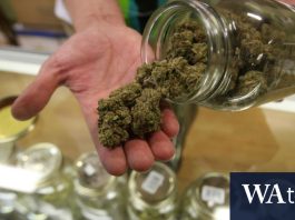 Los verdes presionan para legalizar el cannabis Los verdes presionan para legalizar el cannabis