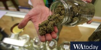 Los verdes presionan para legalizar el cannabis
