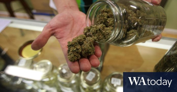 Los verdes presionan para legalizar el cannabis
