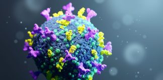 3D rendered illustration of a mutating virus that causes COVID-19. (James Thew/Adobe Stock)