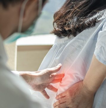 La NSF otorga más de $1 millón a un equipo de investigación interdisciplinario para estudiar el dolor lumbar crónico
