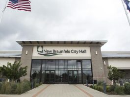  El Ayuntamiento de New Braunfels reflexionará sobre la prohibición de permitir la venta de mascotas de criadores comerciales |  Alerta comunitaria
