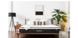  ¿Vale la pena?  Mi experiencia con el colchón Nest Bedding
