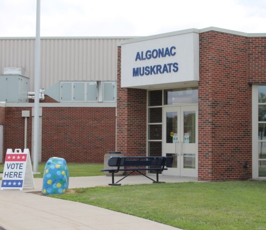 Votantes para elegir a los miembros de la Junta Escolar de Algonac – The Voice
