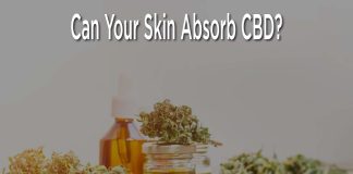 ¿Puede tu piel absorber el CBD?
