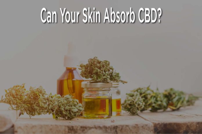 ¿Puede tu piel absorber el CBD?
