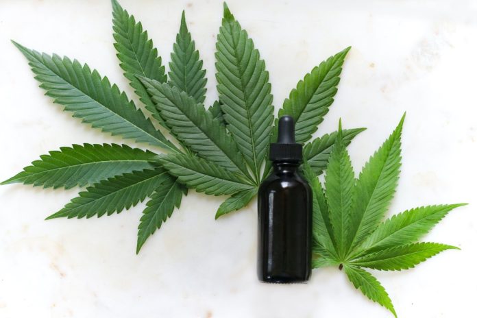 Cómo infundir sus productos favoritos para el cuidado de la piel con aceite de CBD
