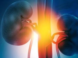El ejercicio aeróbico regular podría mejorar los resultados de la enfermedad renal crónica – Consumer Health News El ejercicio aeróbico regular podría mejorar los resultados de la enfermedad renal crónica - Consumer Health News