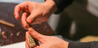 Las nuevas solicitudes de empleo federales no preguntarán sobre la mayoría del consumo de marihuana a menos que haya sido en los últimos 90 días
