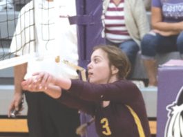  'La gente no sabe': Jocelyn Villas de Menominee, galardonada con el premio Atleta Valiente de Gil Heard, sigue adelante a pesar de innumerables contratiempos de salud |  Noticias, Deportes, Trabajos
