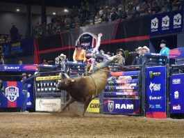 La popularidad de la serie dramática de Yellowstone se atribuye al creciente interés en los deportes de rodeo y la monta de toros
