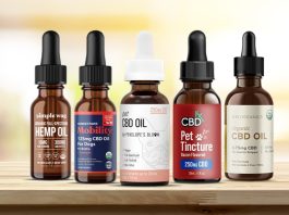 Best CBD Oil for Dogs with Arthritis in 2023 – Top 5 Pet Care Products Best CBD Oil for Dogs with Arthritis in 2023 – Top 5 Pet Care Products